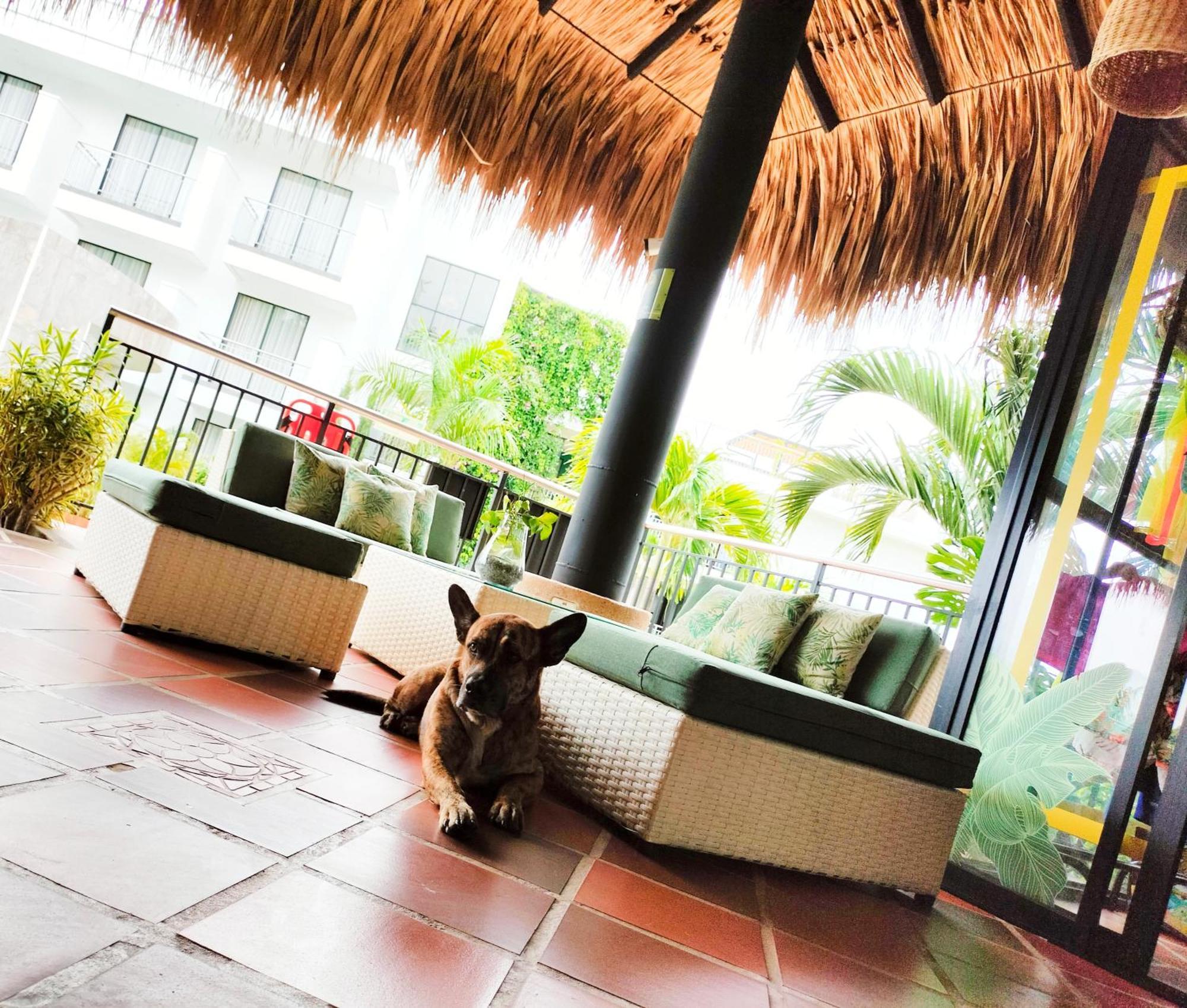 Hotel Arbóreo Doradal Exterior foto